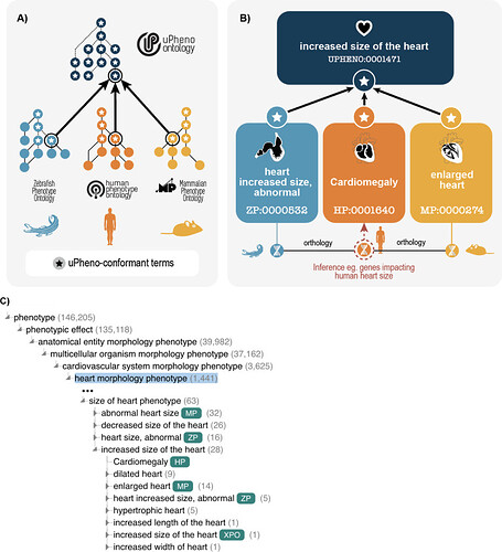 Figure 2 from Matentzoglu et al.