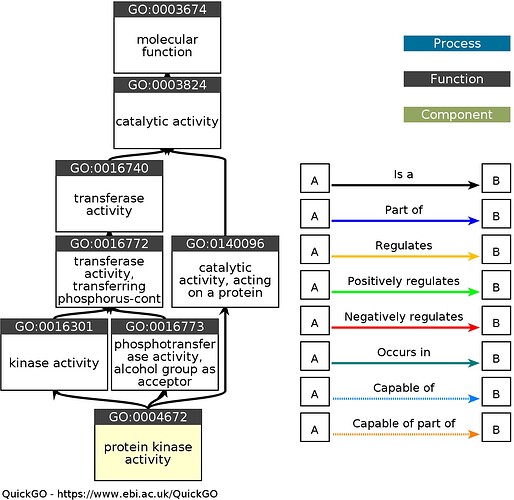 Ancestor chart for GO 0004672