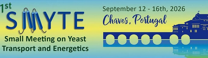 Screenshot 2026-04-22 at 16-38-04 41st SMYTE - Chaves Portugal