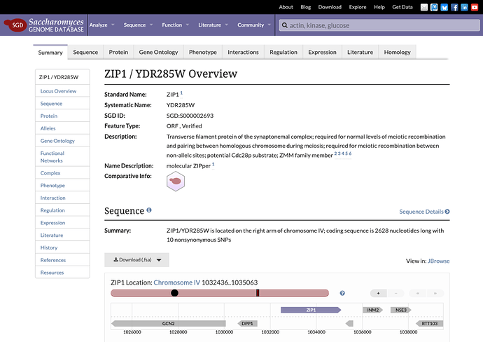 ZIP1 locus summary page in SGD