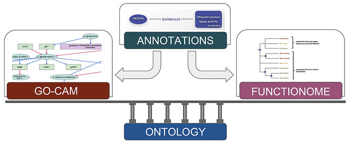 Screenshot 2025-12-19 at 16.30.03