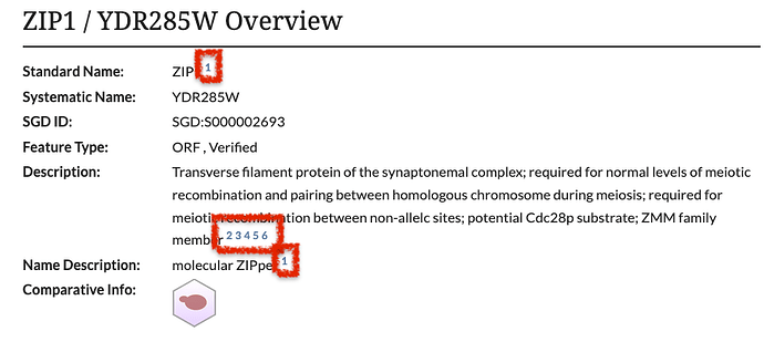 ZIP1 overview section showing 6 references
