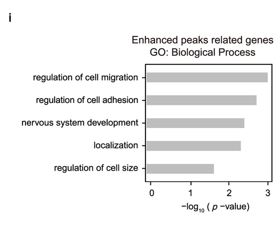 Figure 3i from Tang et al.