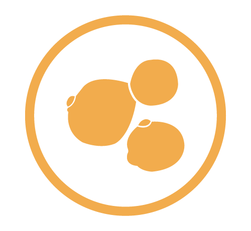 Yeast logo