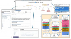 figure1GENETICS2025.jpg